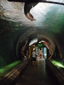 tiergarten_durchgang