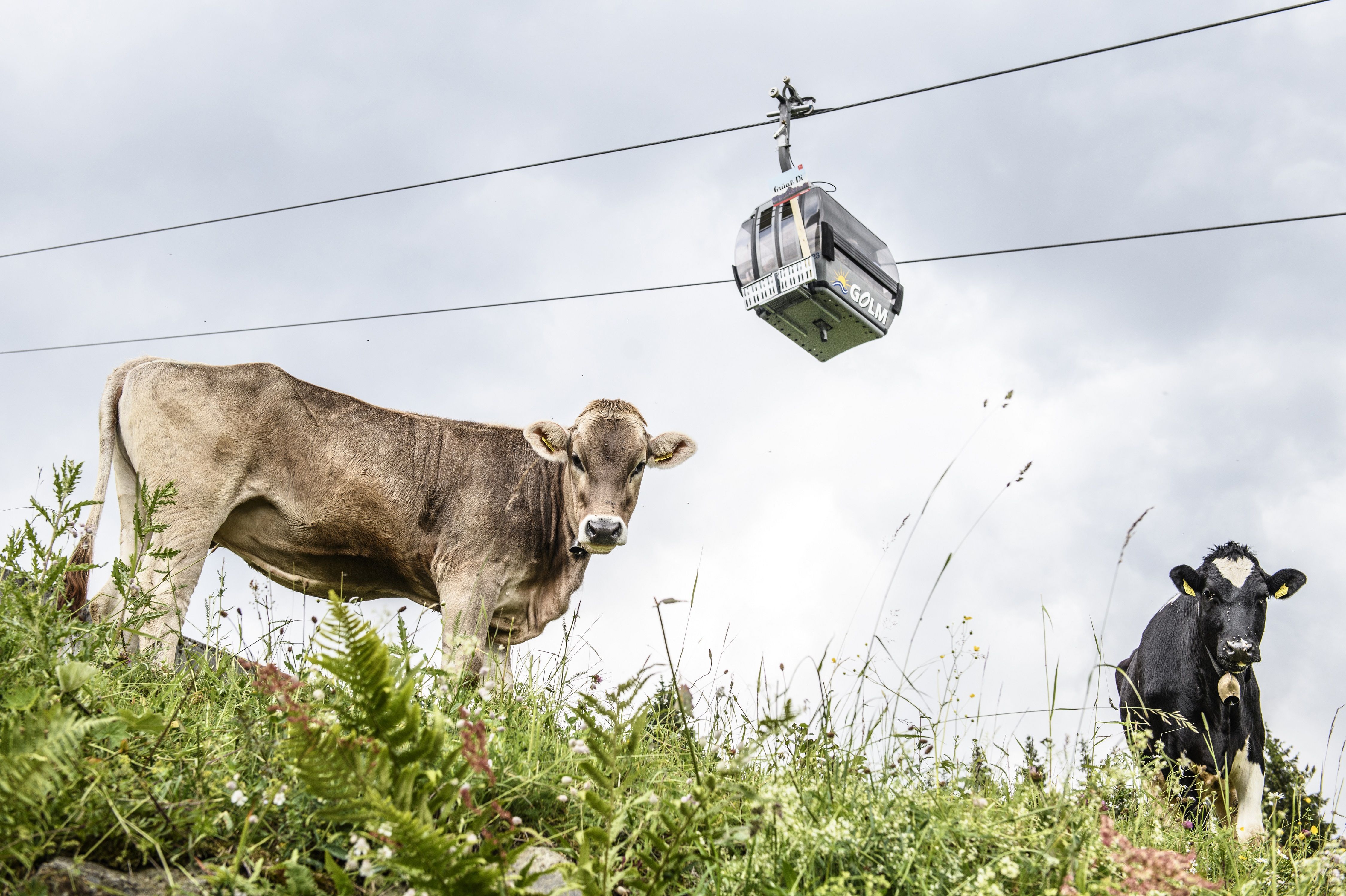 montafoner_zeit_gondeldinner_am_golm_c_patrick_saely_montafoner_hof