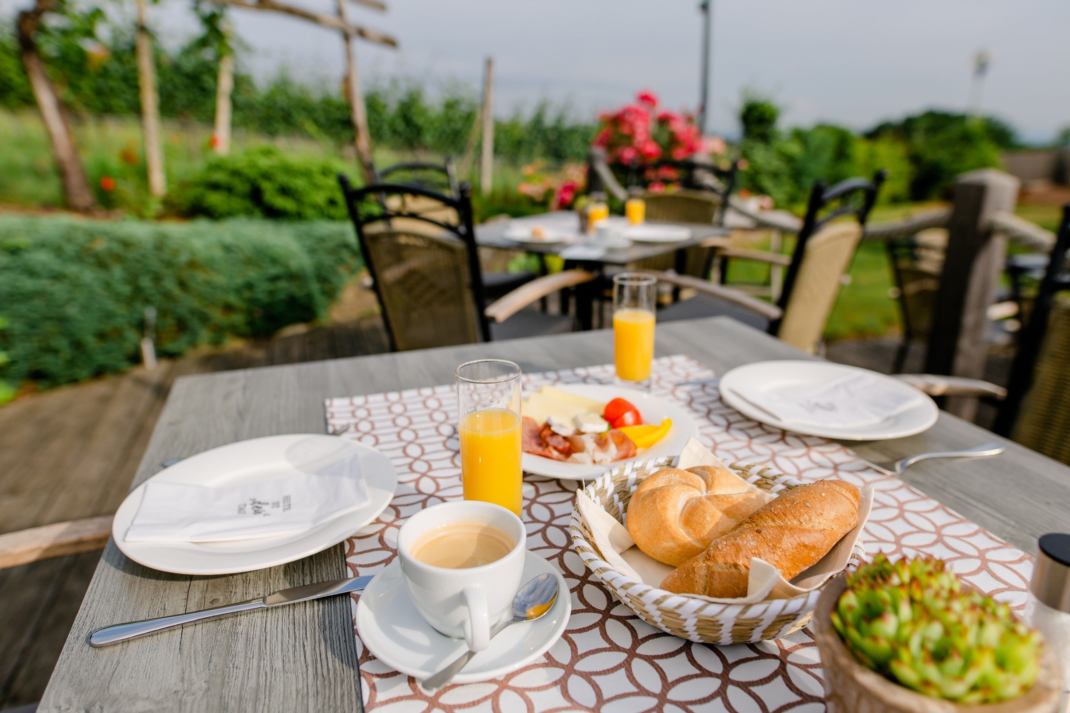 ratscher fruehstuecken_in_den_weinbergen_c_karin_bergmann_ratscher_landhaus